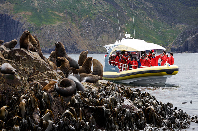 TASMANIAN BRUNY ISLAND