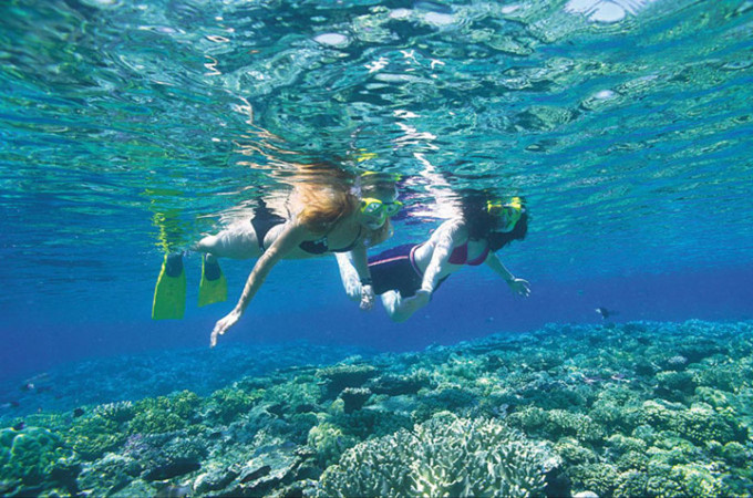 Cairns fitzroyisland (4)