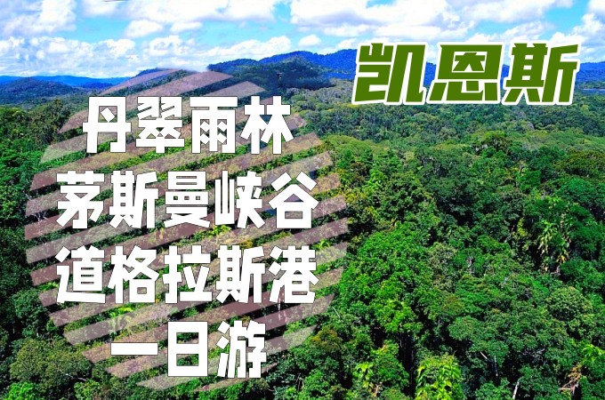 跟团 ○ 凯恩斯丹翠雨林+茅斯曼峡谷+道格拉斯港一日游