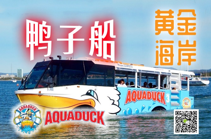 黄金海岸鸭子船1